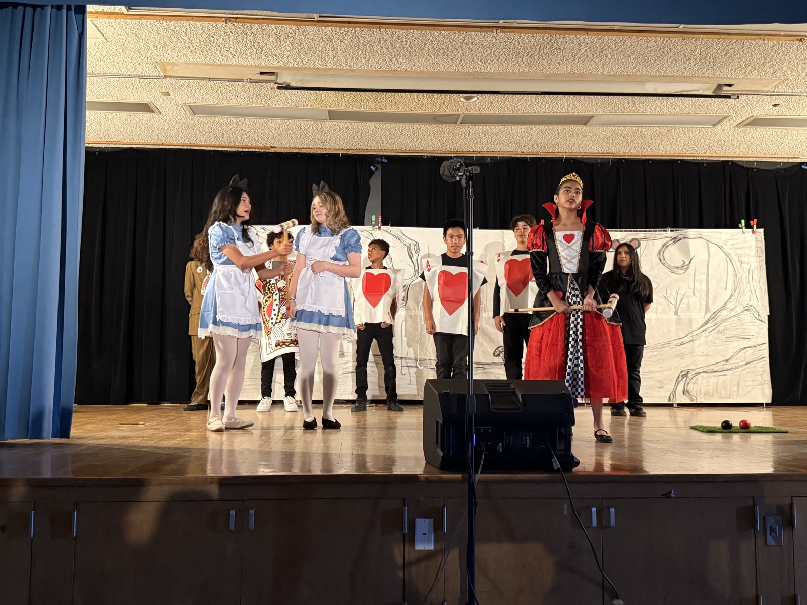 Middle School cast of Alice in Wonderland