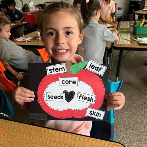 Kindergarten is investigating apples today. Each student brought an apple to class. Then they asked; How big is their apple? How many seeds does it have? How does it taste? They created an apple and labeled the parts. They even made art stamping with an apple. How do you like them apples?