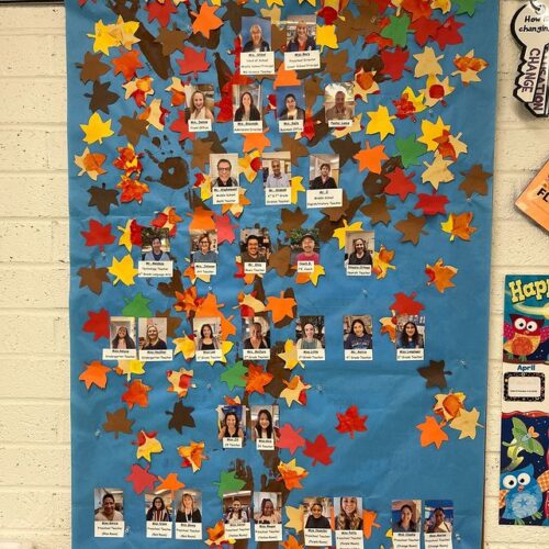 Jr. Kindergarten students are learning about our school community. This week they learned who the different members of the GPS community are and what they do. One of our favorite projects each year is seeing the GPS family tree come together in their classroom.